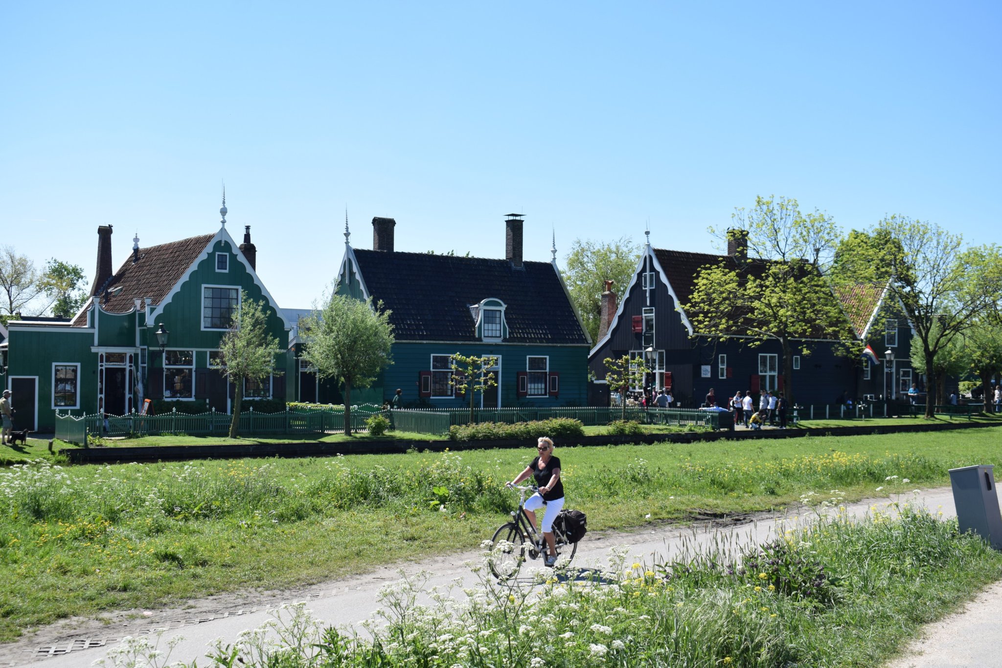 DSC_0383.jpg