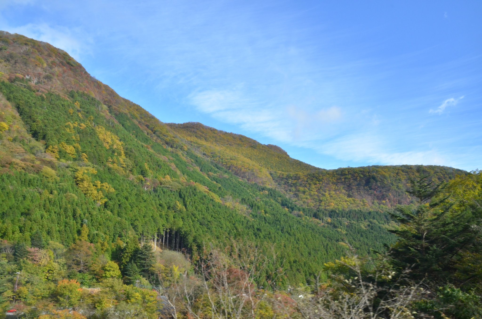 DSC_2838.JPG