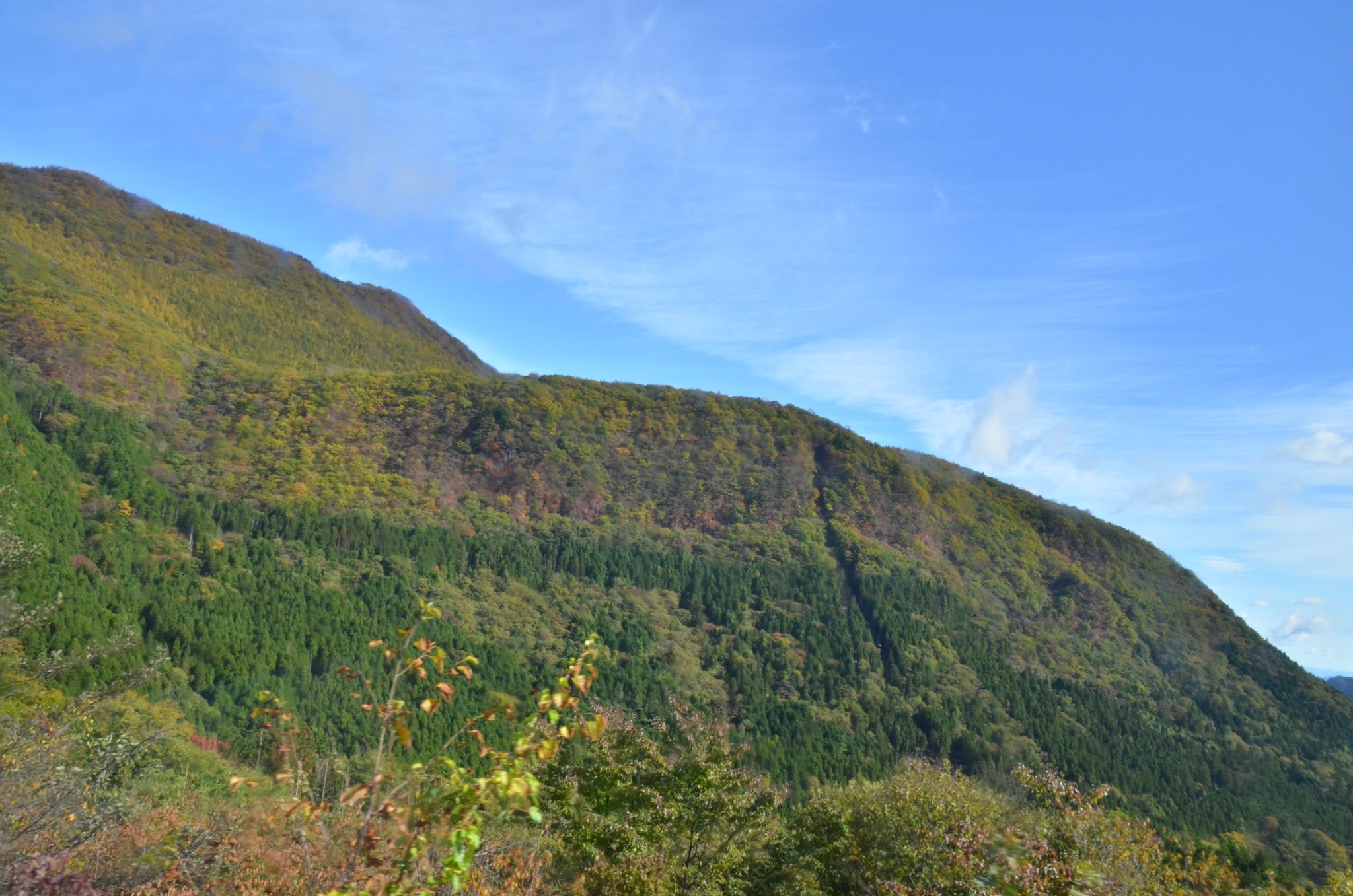 DSC_2839.JPG