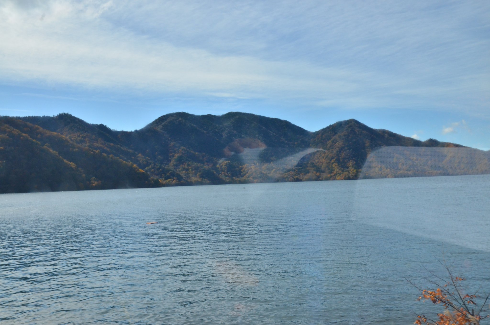 DSC_2856.JPG