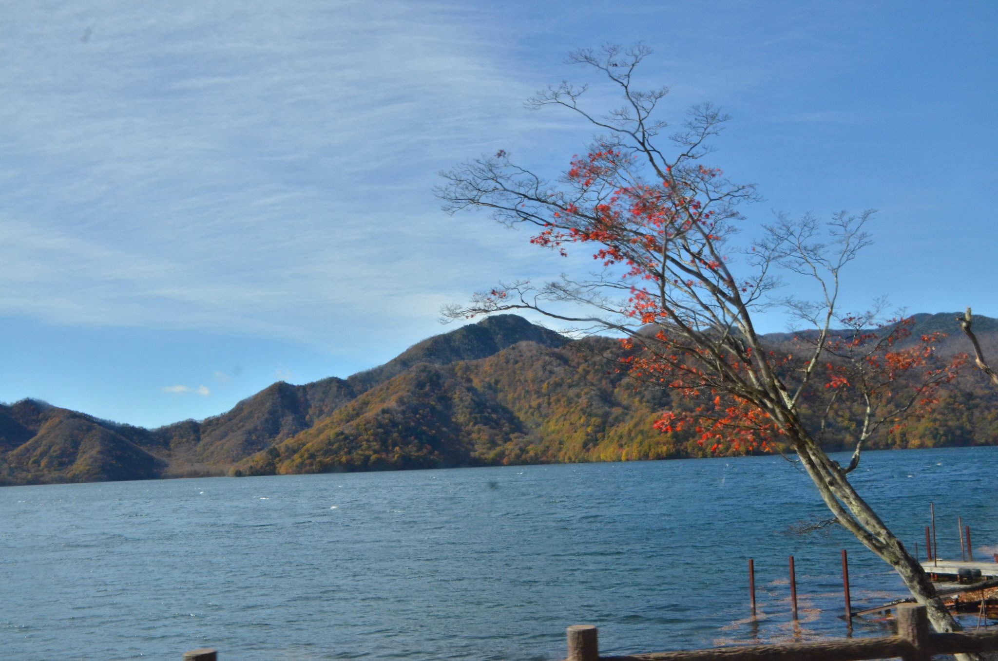 DSC_2860.JPG