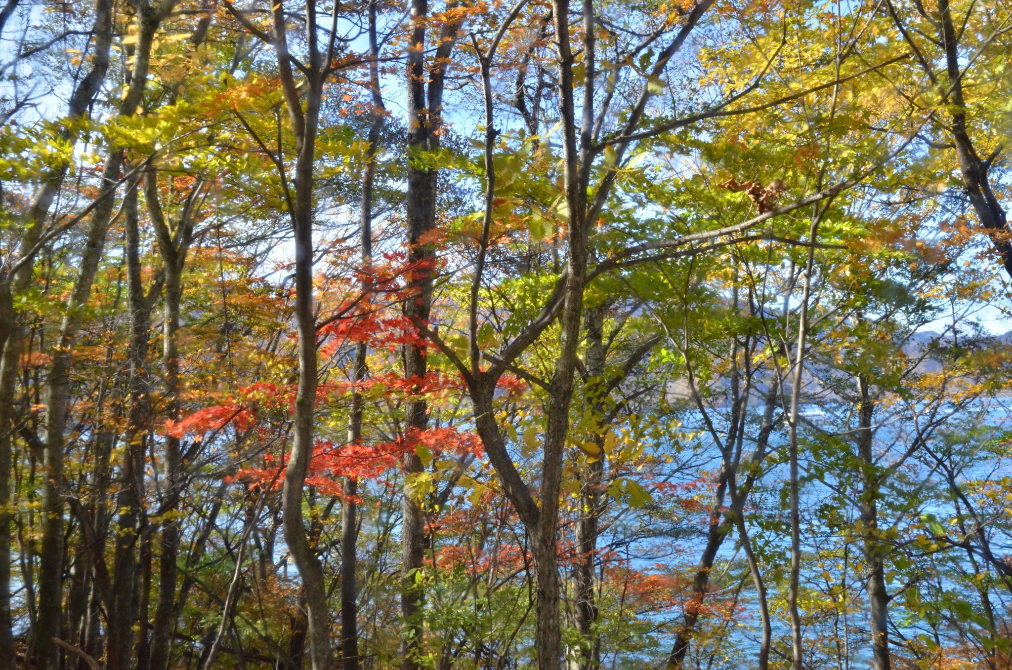 DSC_2861.JPG