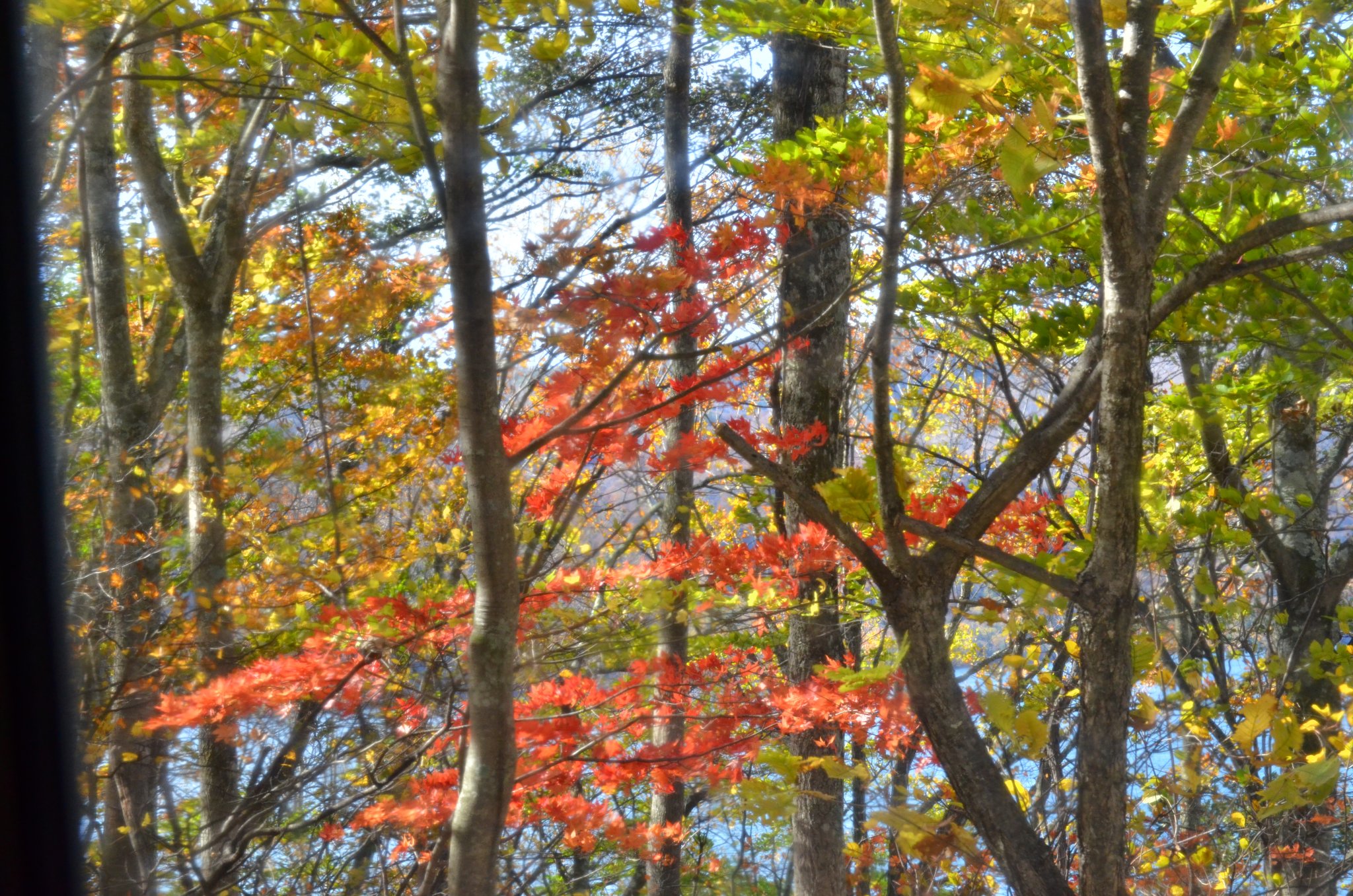 DSC_2863.JPG