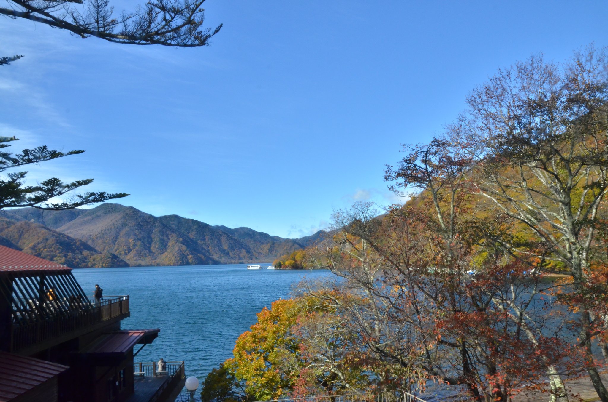 DSC_2864.JPG