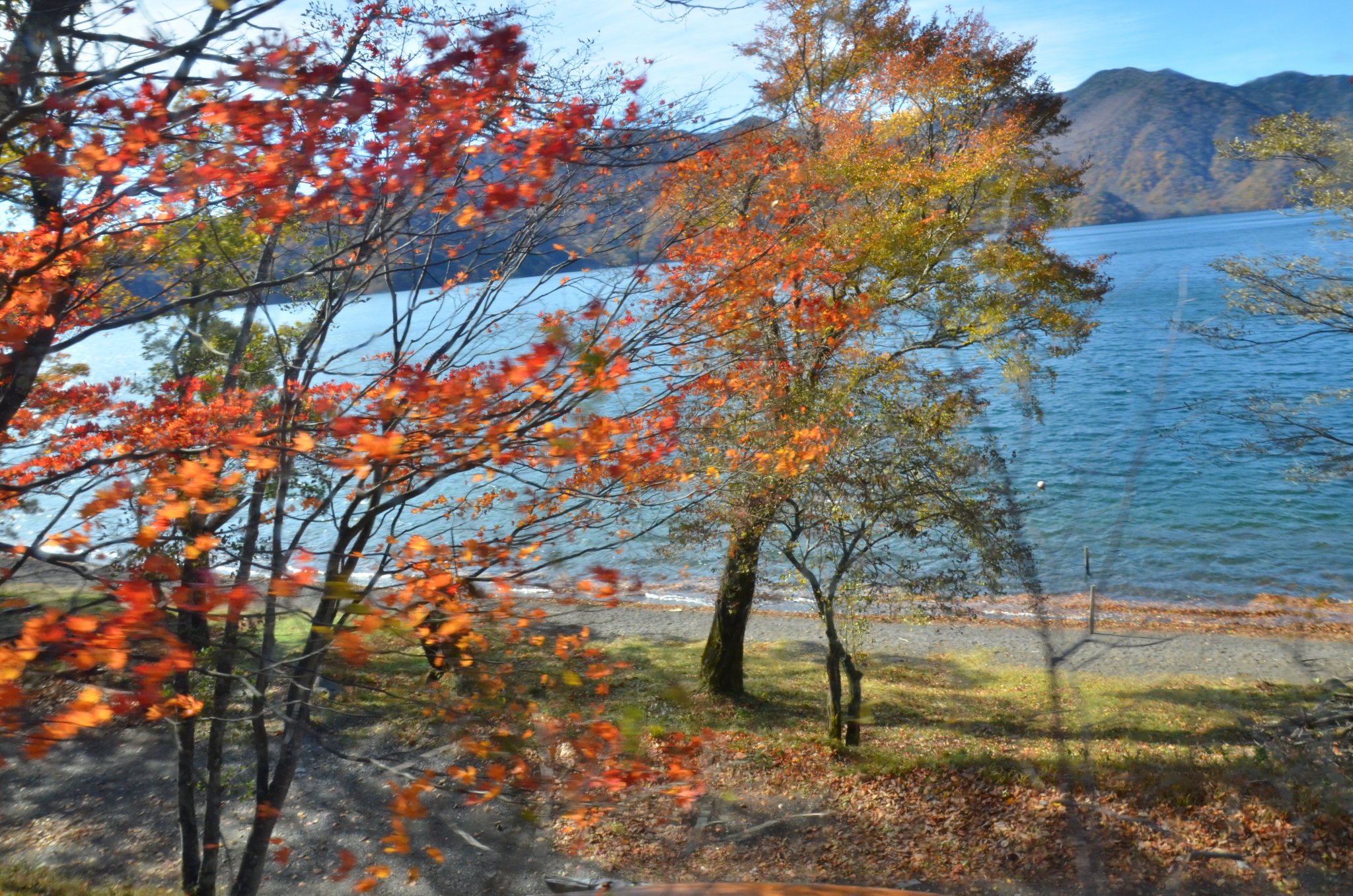 DSC_2865.JPG