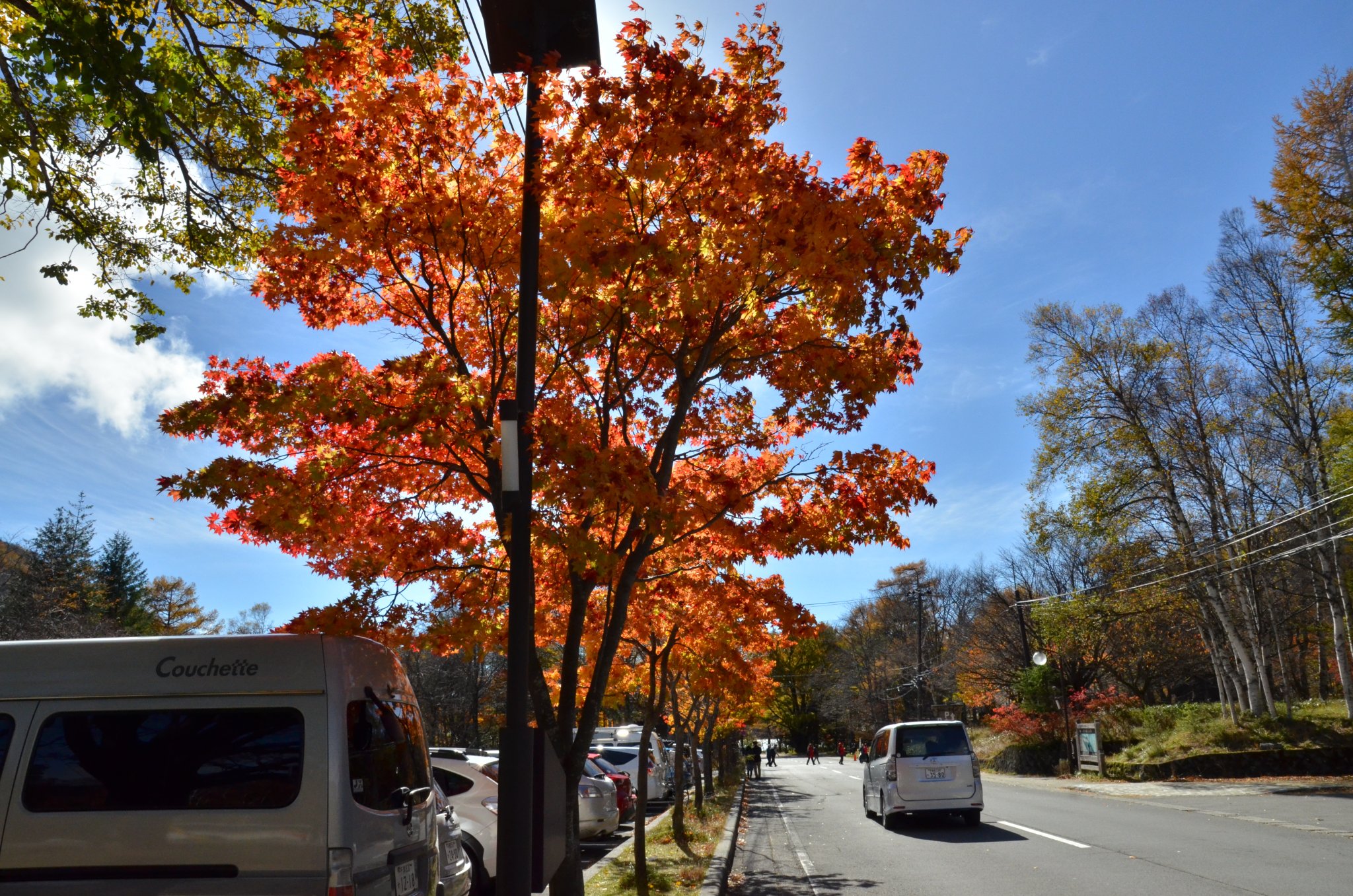 DSC_2876.JPG