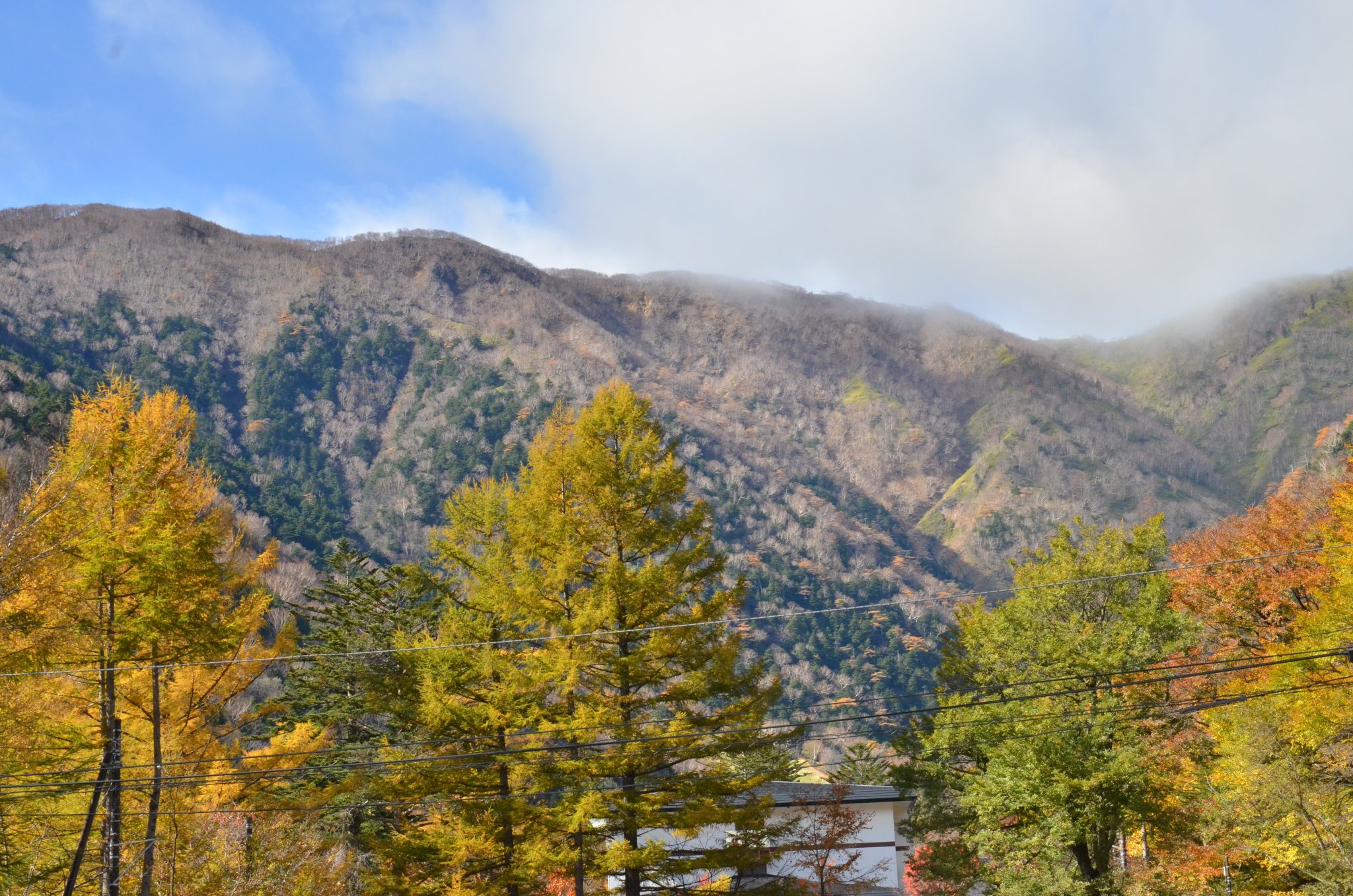 DSC_2887.JPG