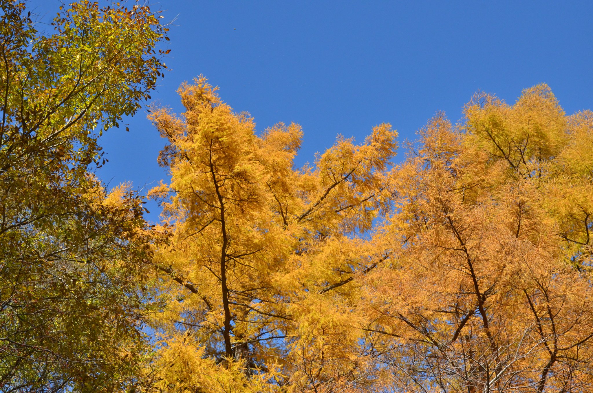 DSC_2888.JPG