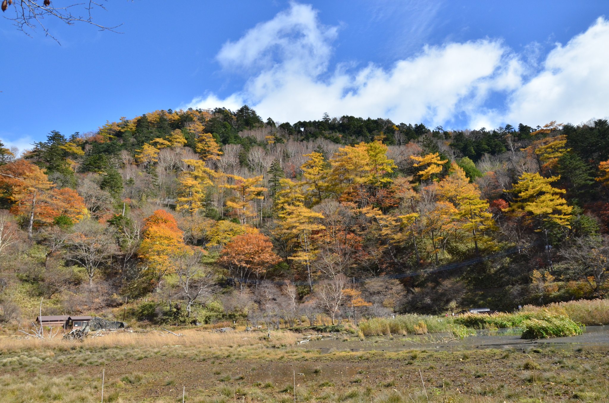 DSC_2892.JPG