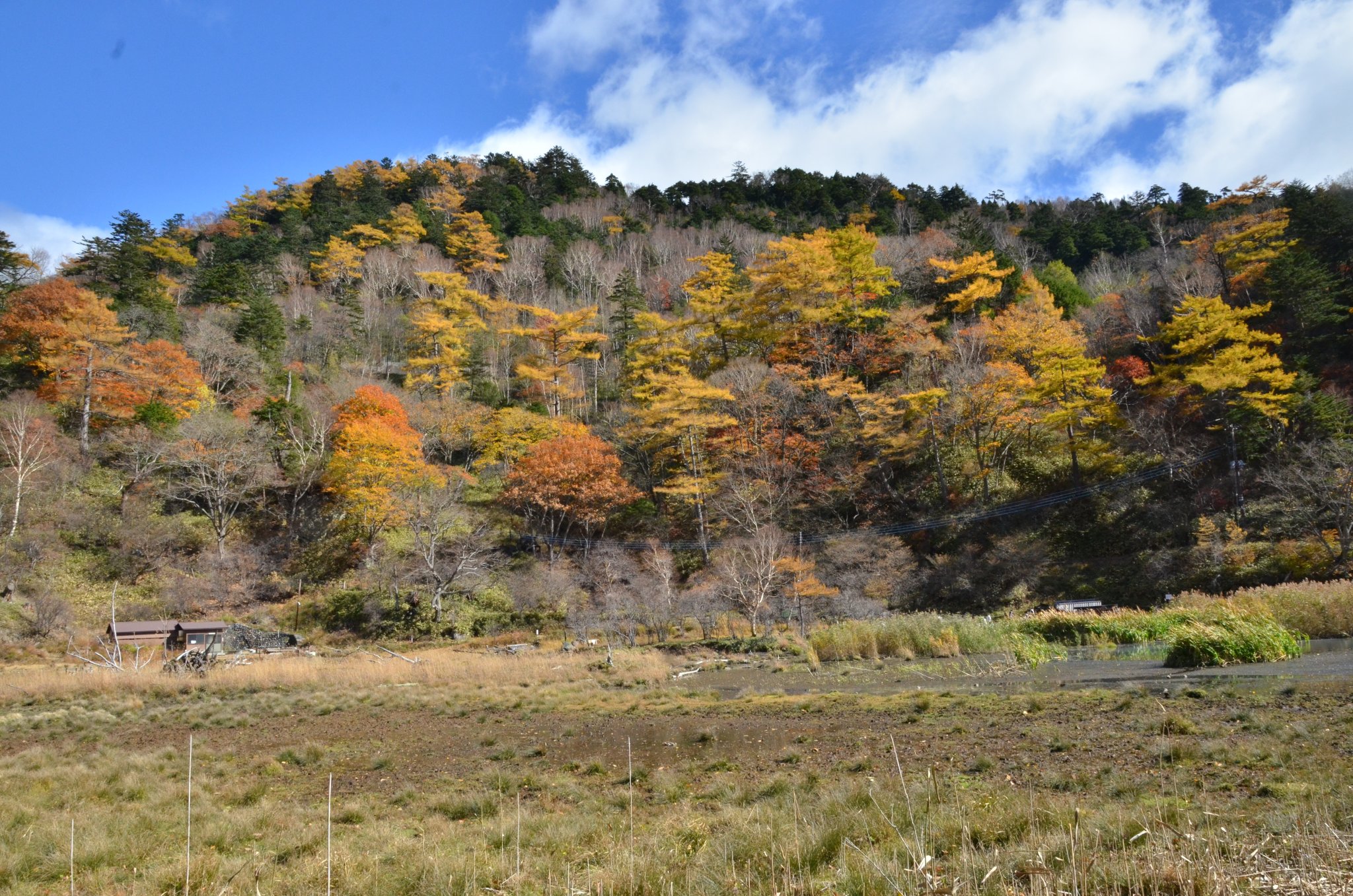 DSC_2893.JPG