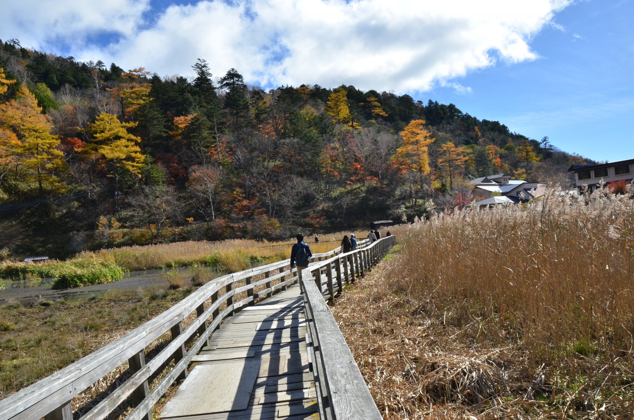 DSC_2894.JPG