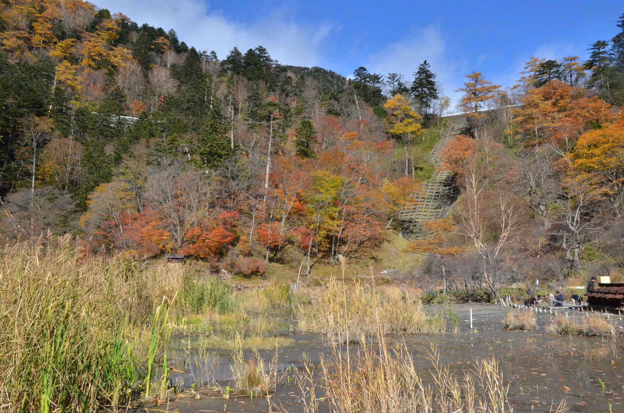 DSC_2897.JPG