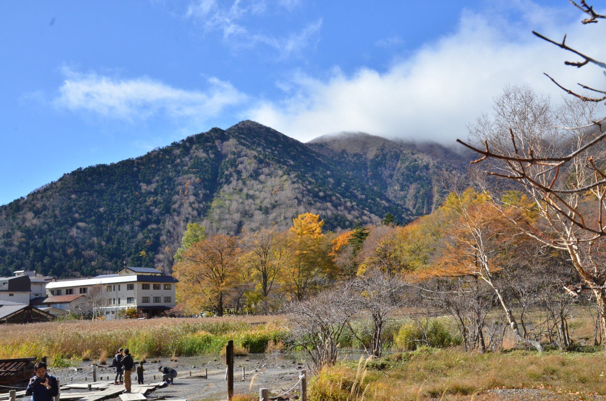 DSC_2903.JPG