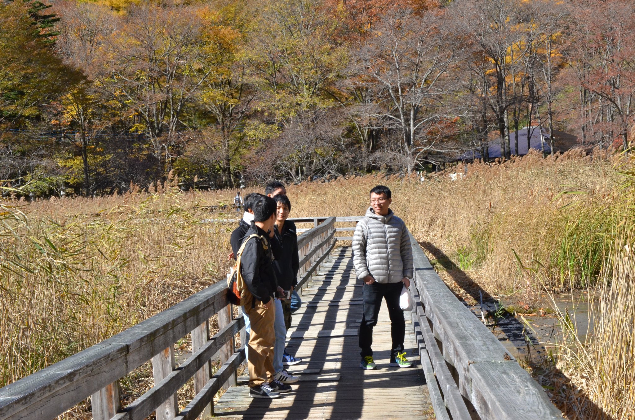 DSC_2904.JPG