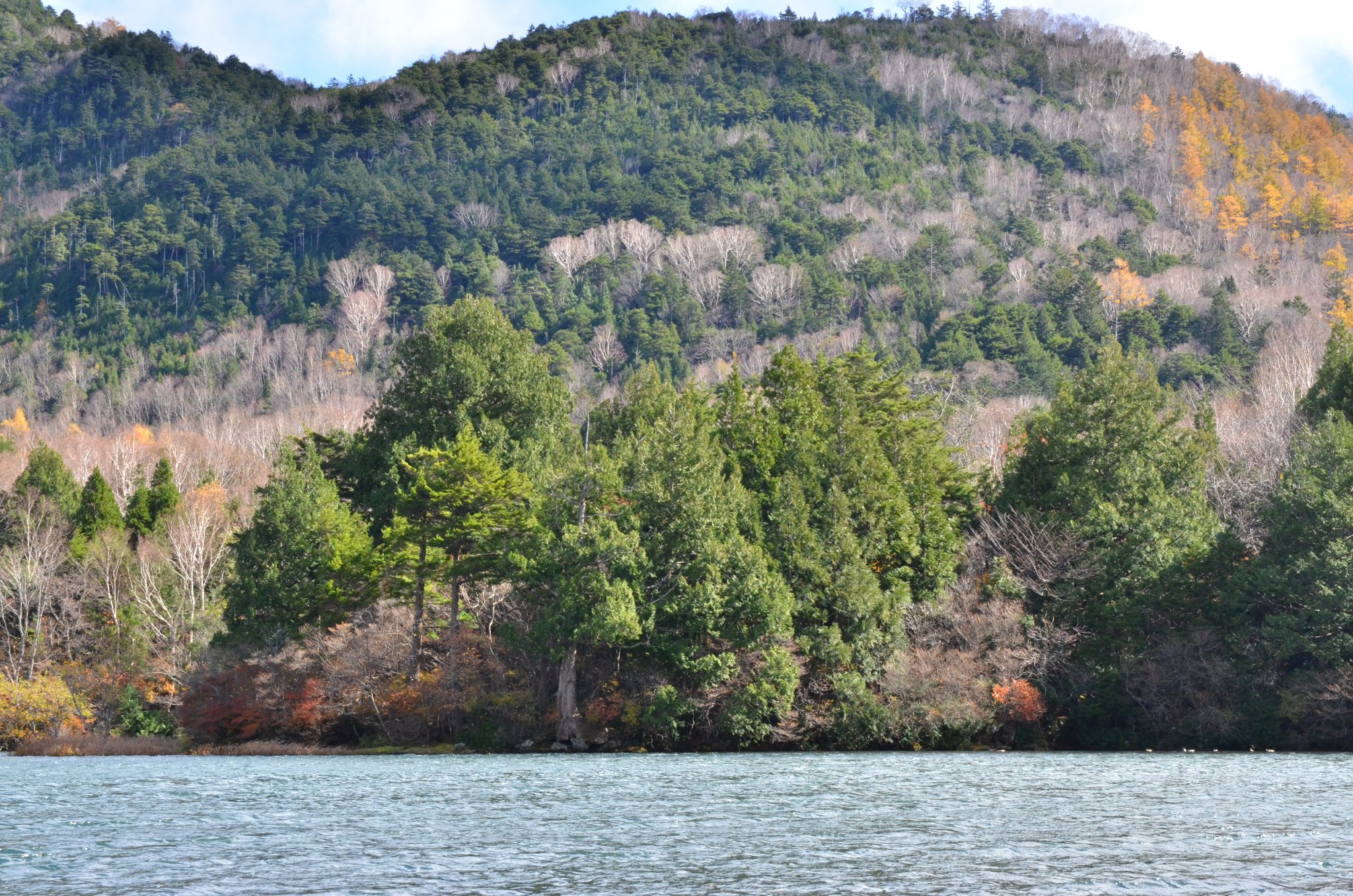DSC_2934.JPG