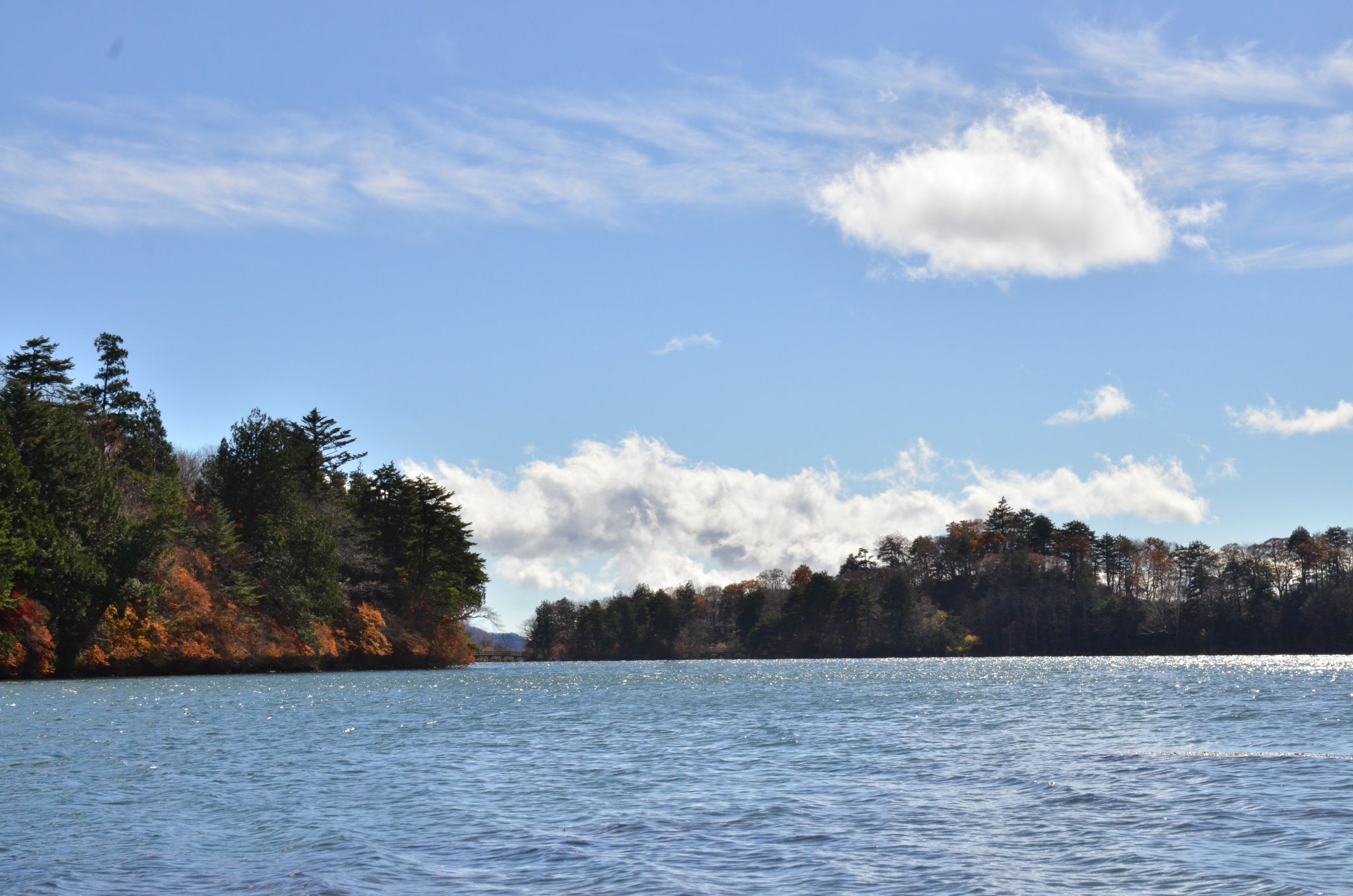 DSC_2936.JPG