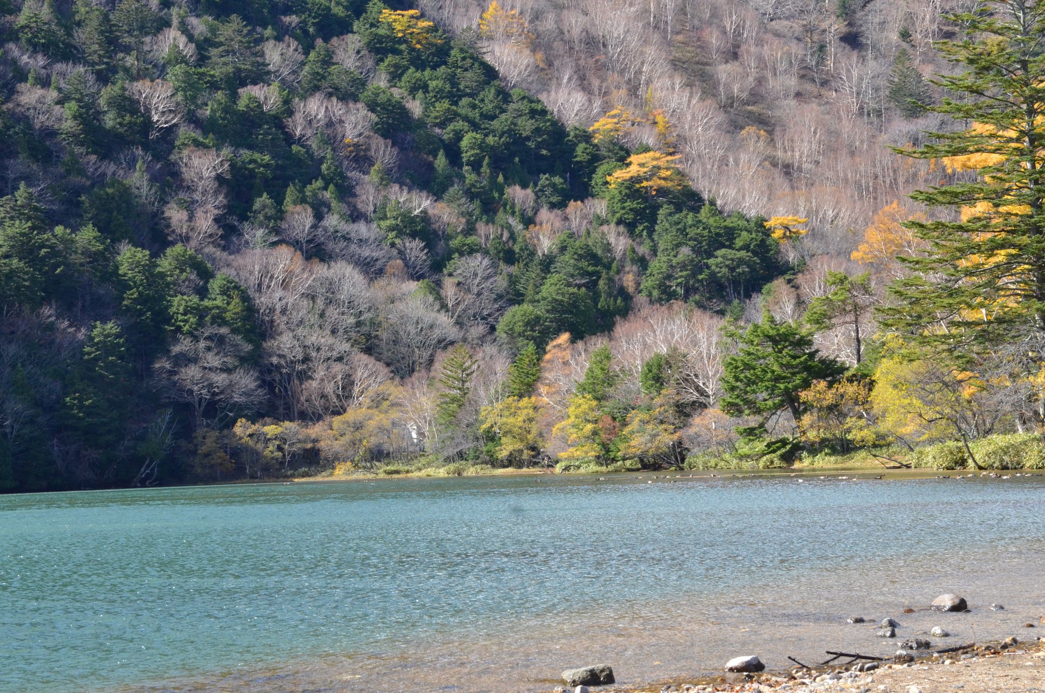 DSC_2937.JPG