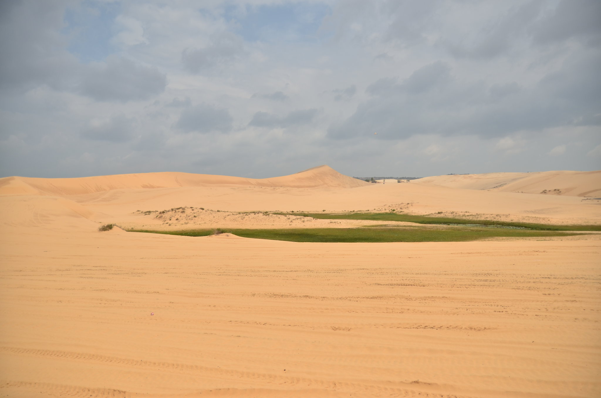 DSC_6408.JPG