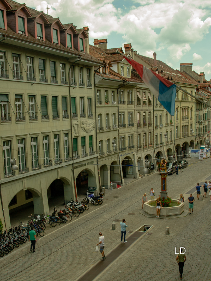 DSC_6469.jpg