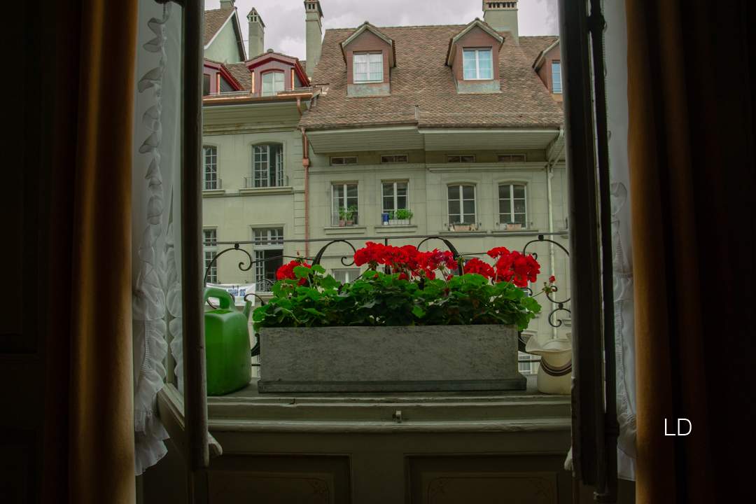 DSC_6470.jpg