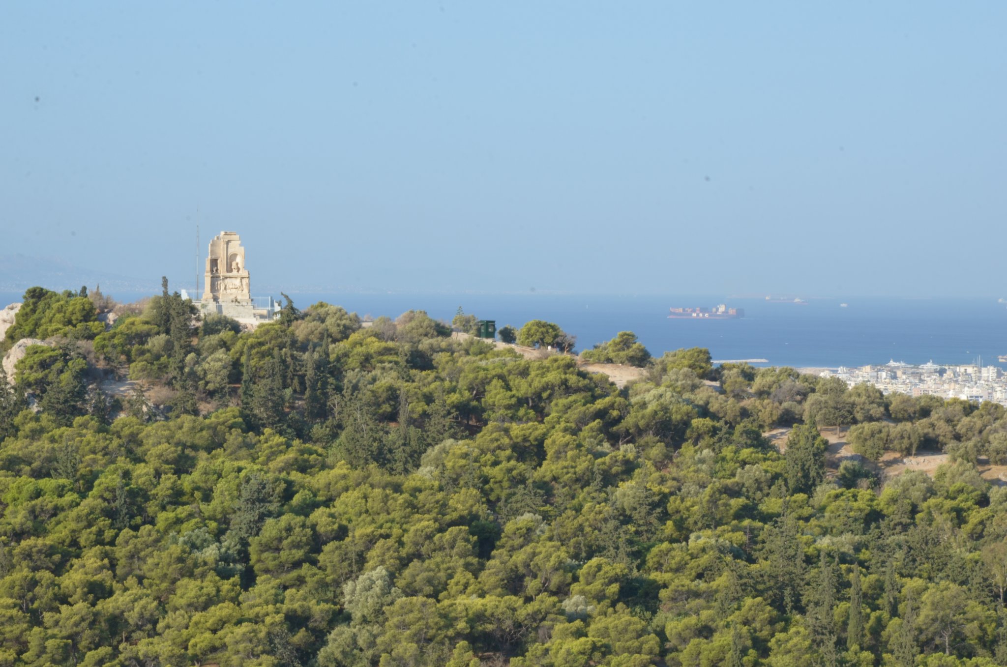 DSC_8669.JPG