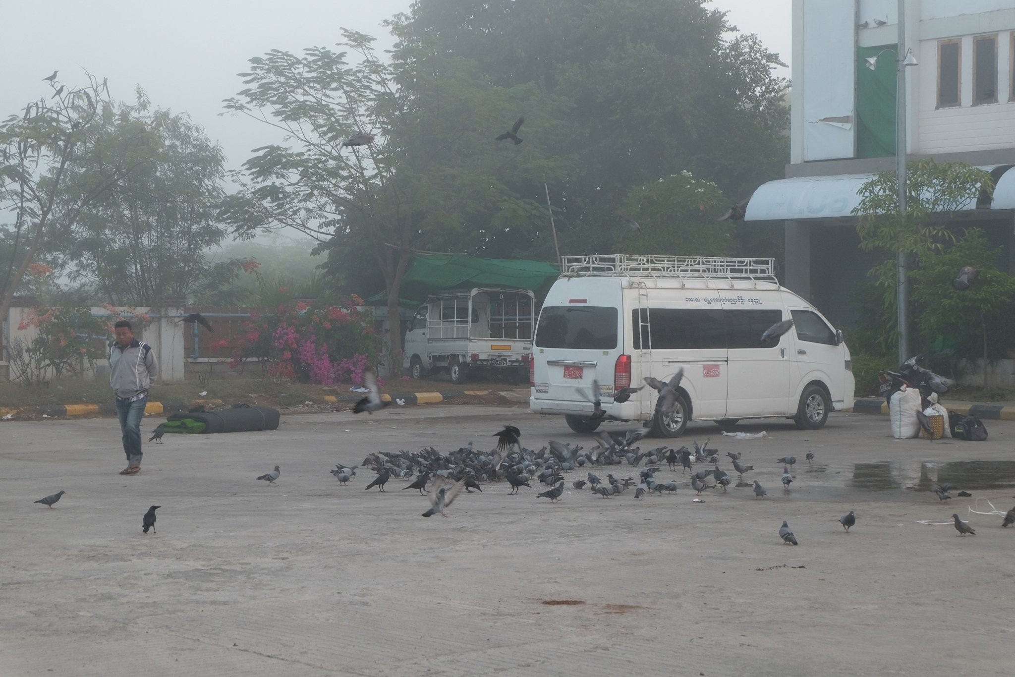 DSCF0005.jpg