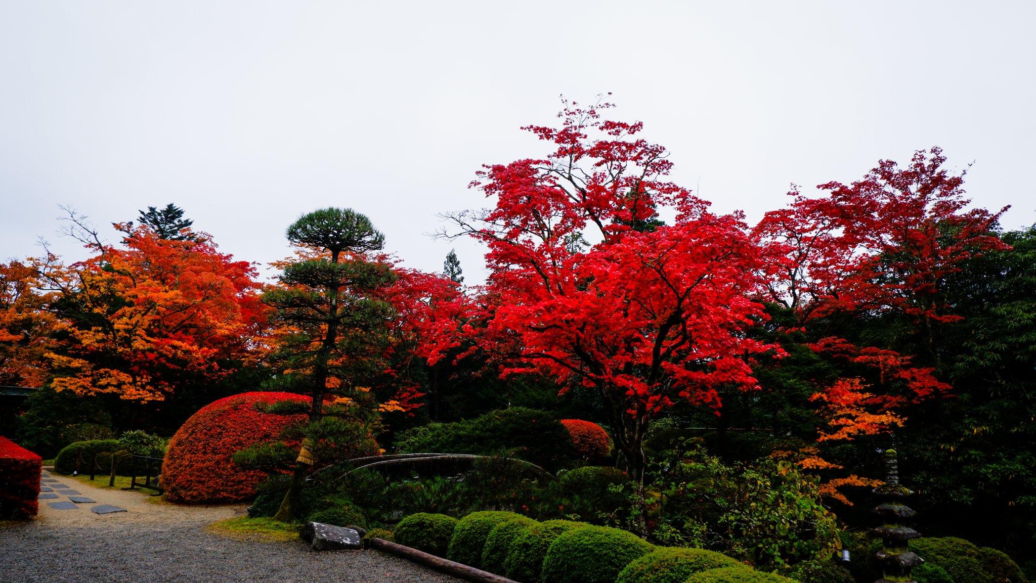 DSCF0810.jpg
