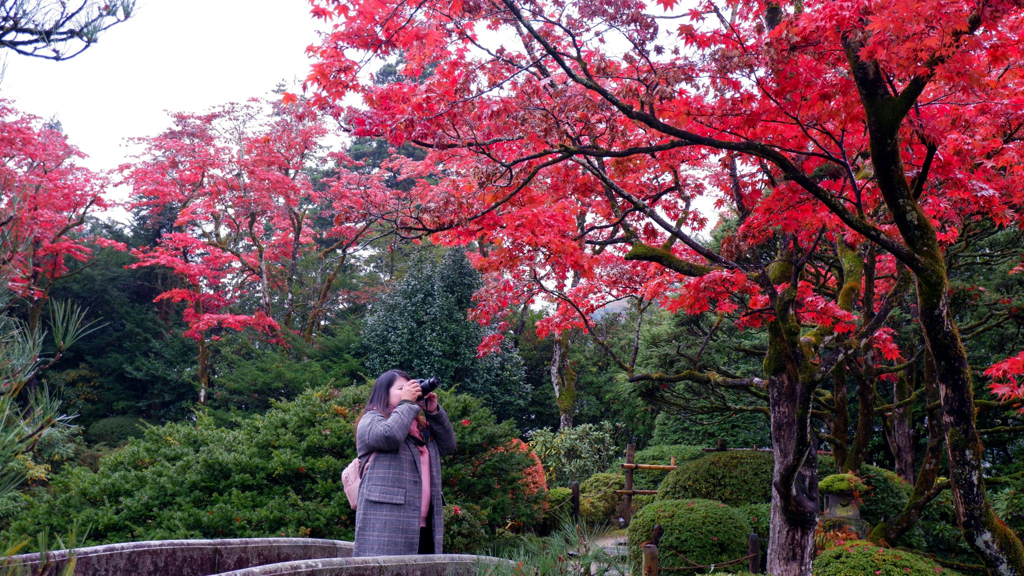 DSCF0820.jpg