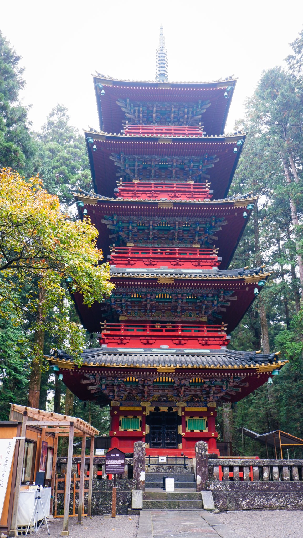 DSCF0872.jpg