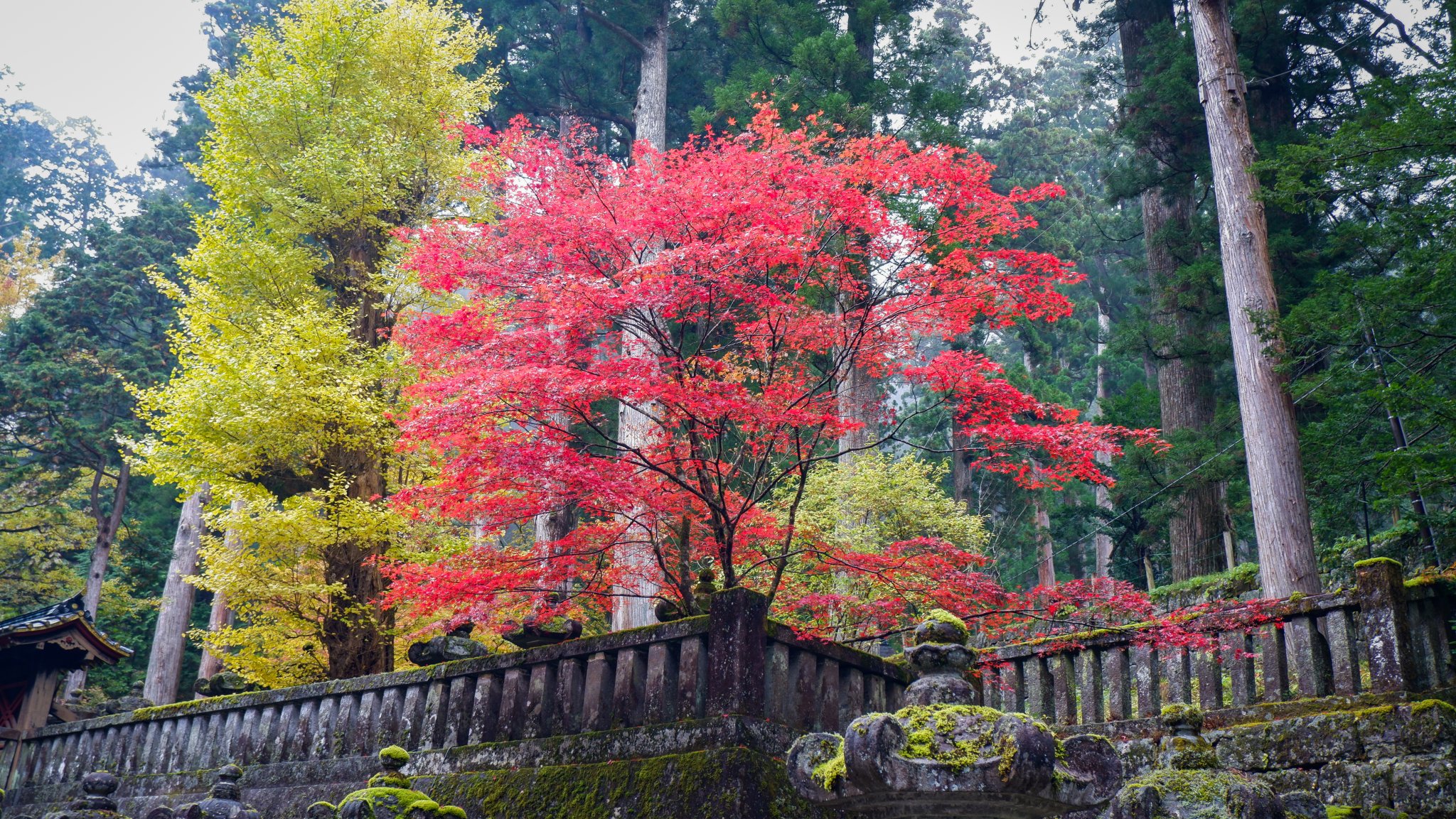 DSCF0882.jpg