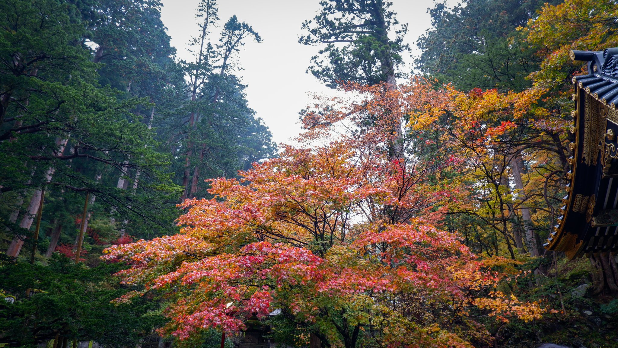 DSCF0891.jpg
