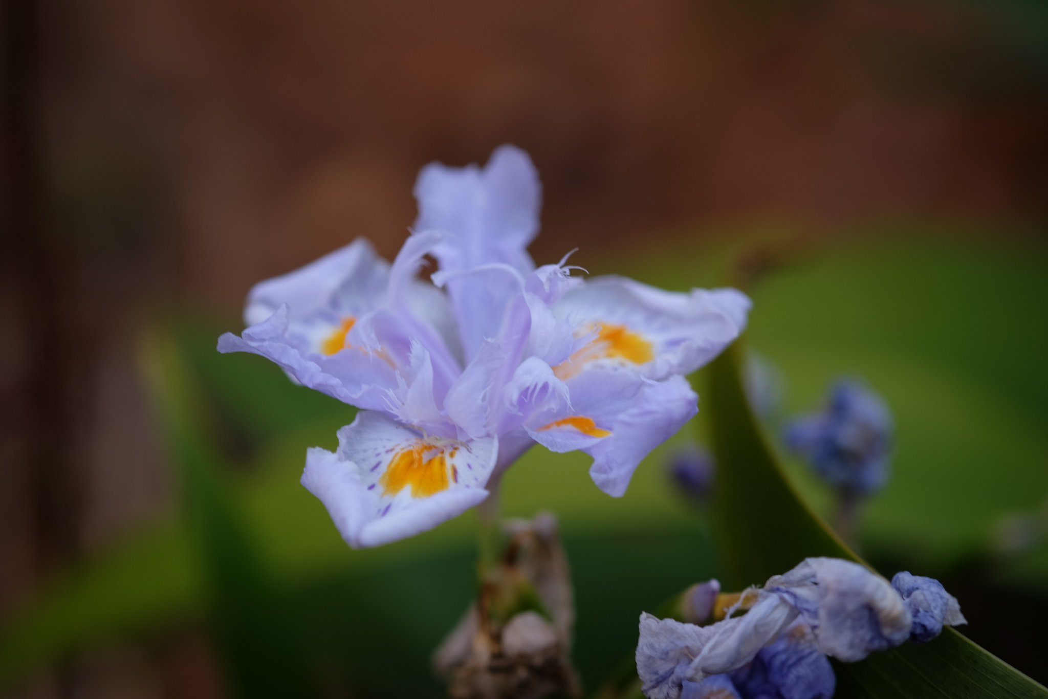 DSCF0900.JPG