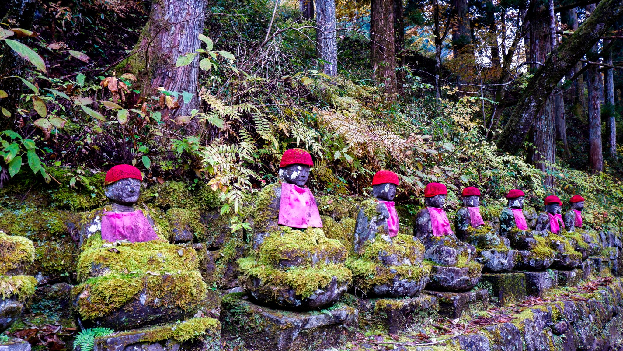 DSCF0959.jpg