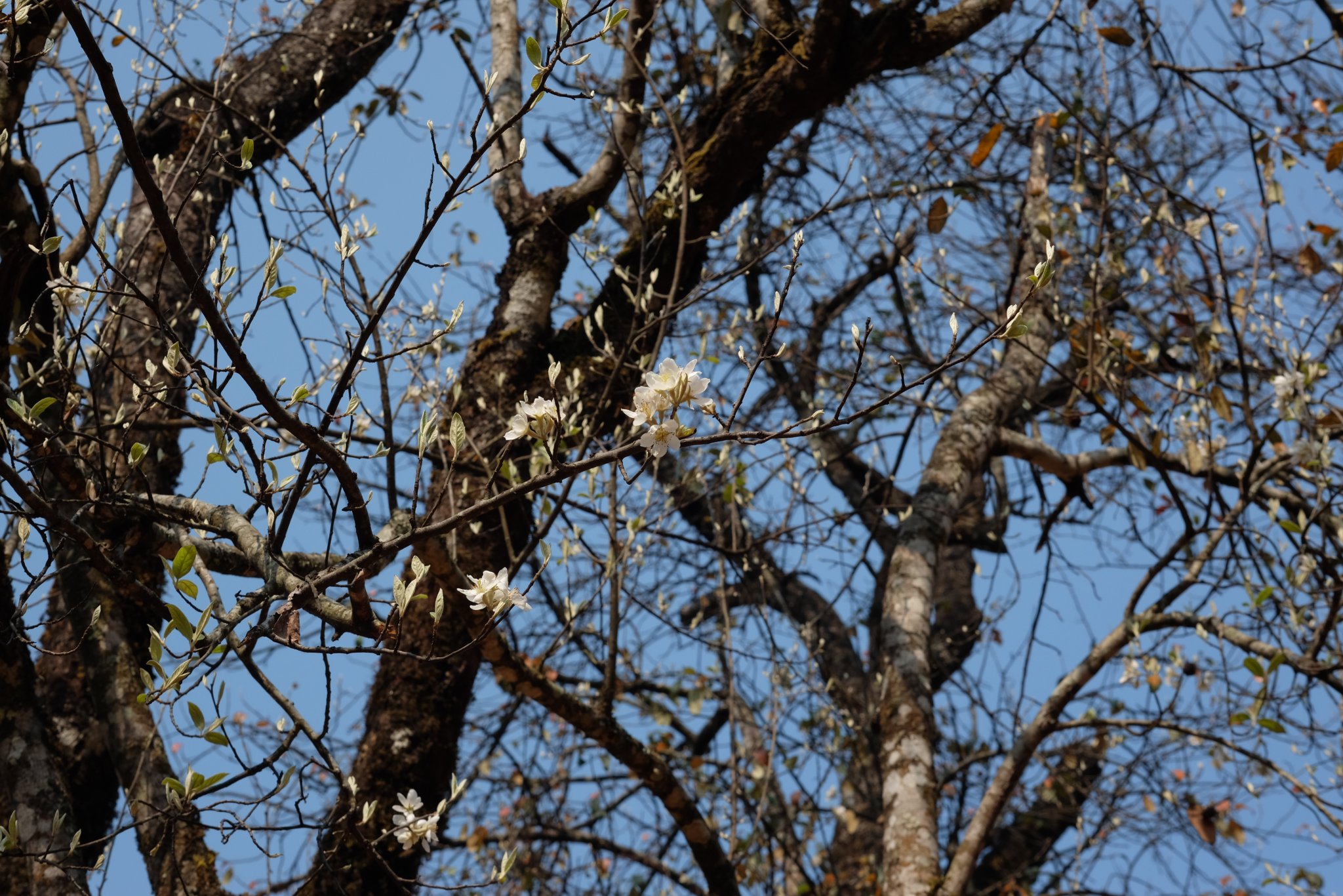 DSCF1061.JPG