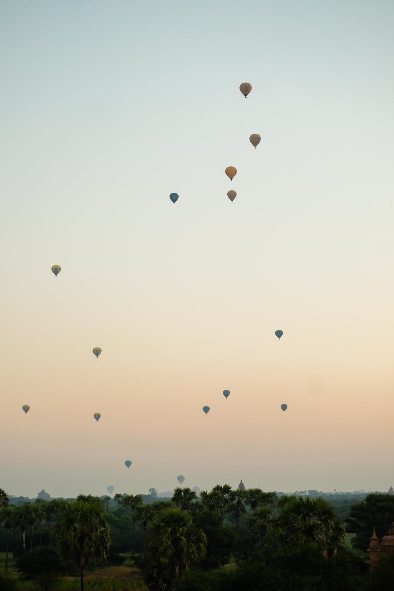 DSCF11751.jpg