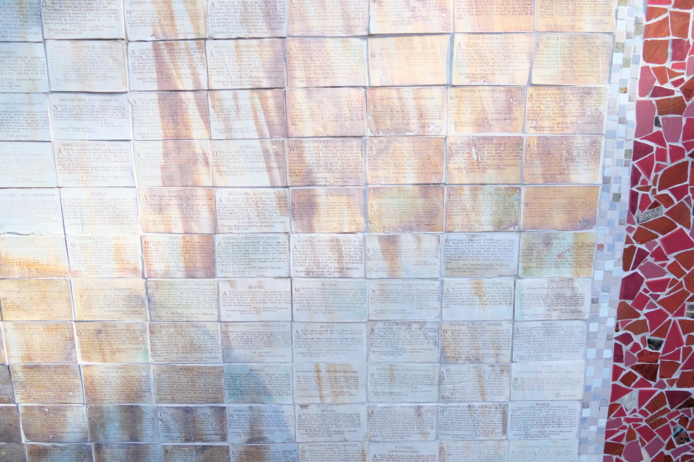 DSCF1586_resize.JPG