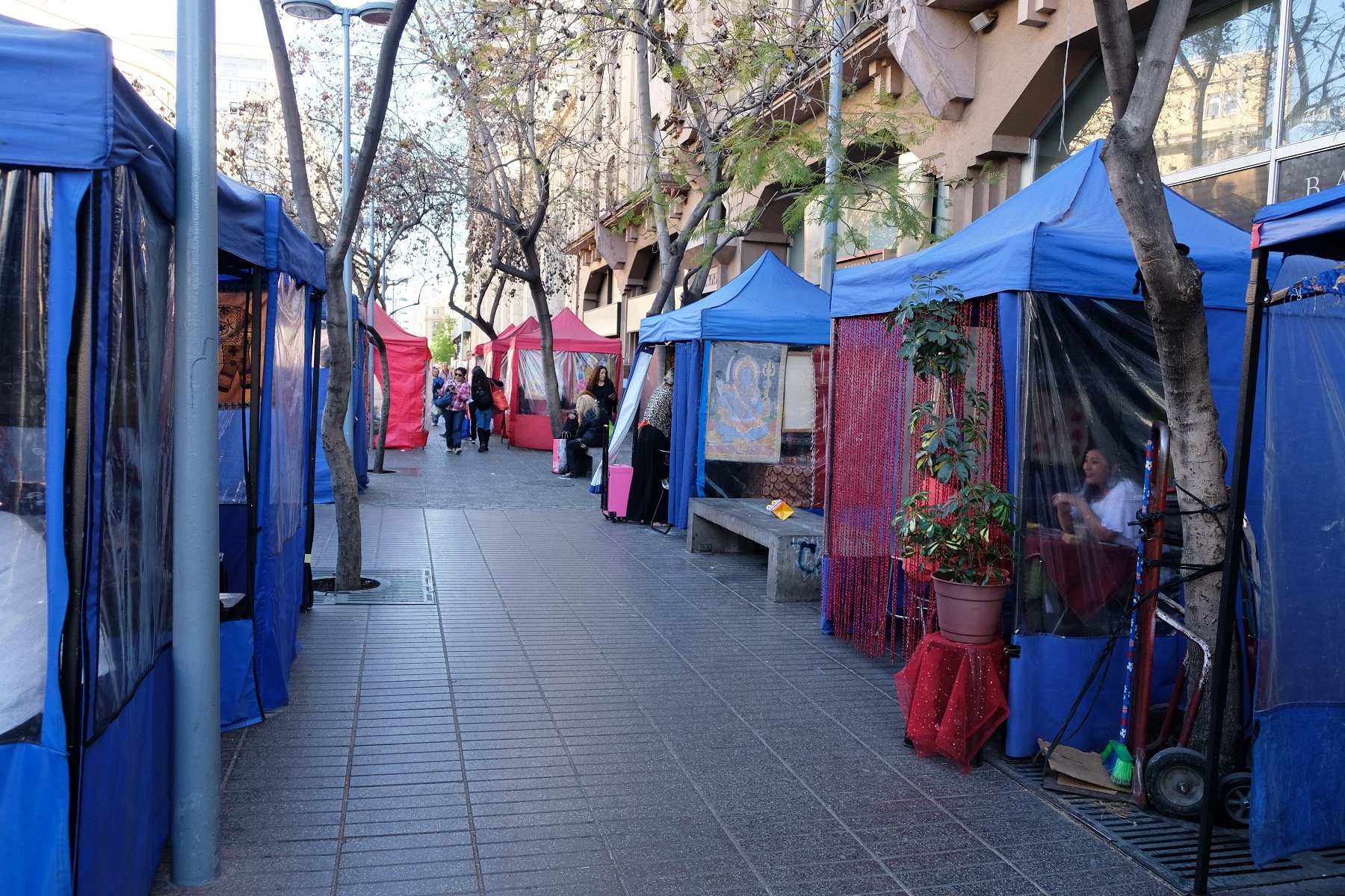 DSCF4435.JPG