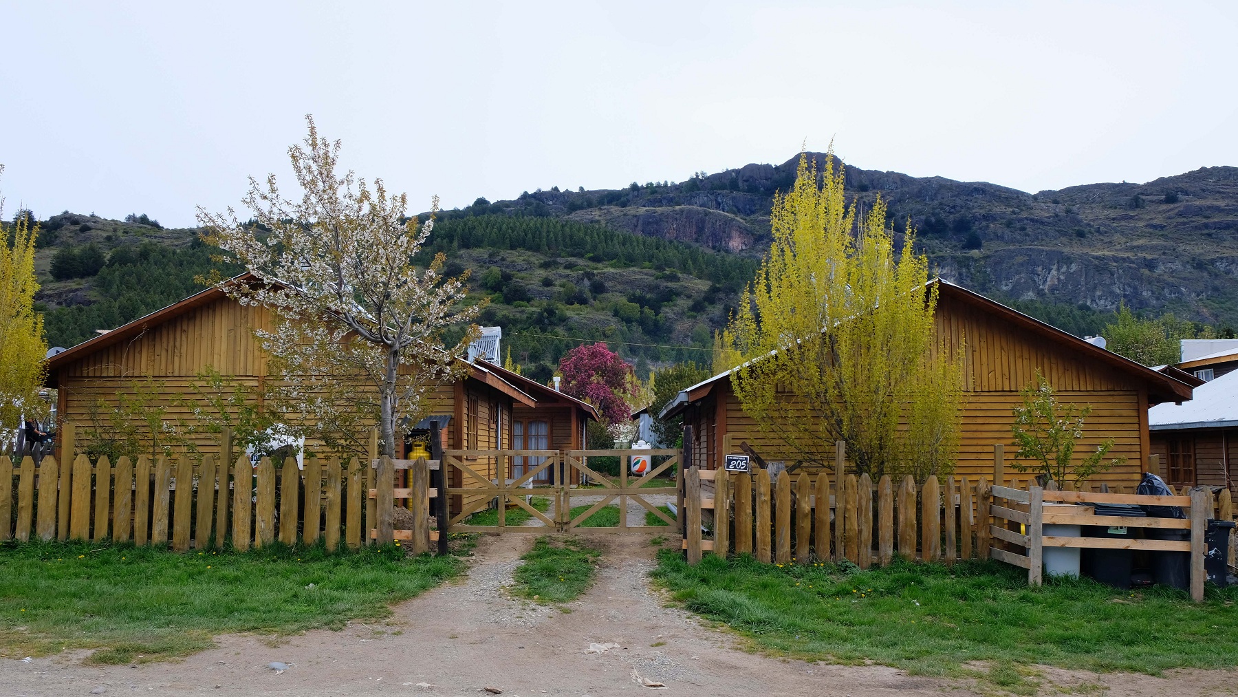 DSCF4650.JPG