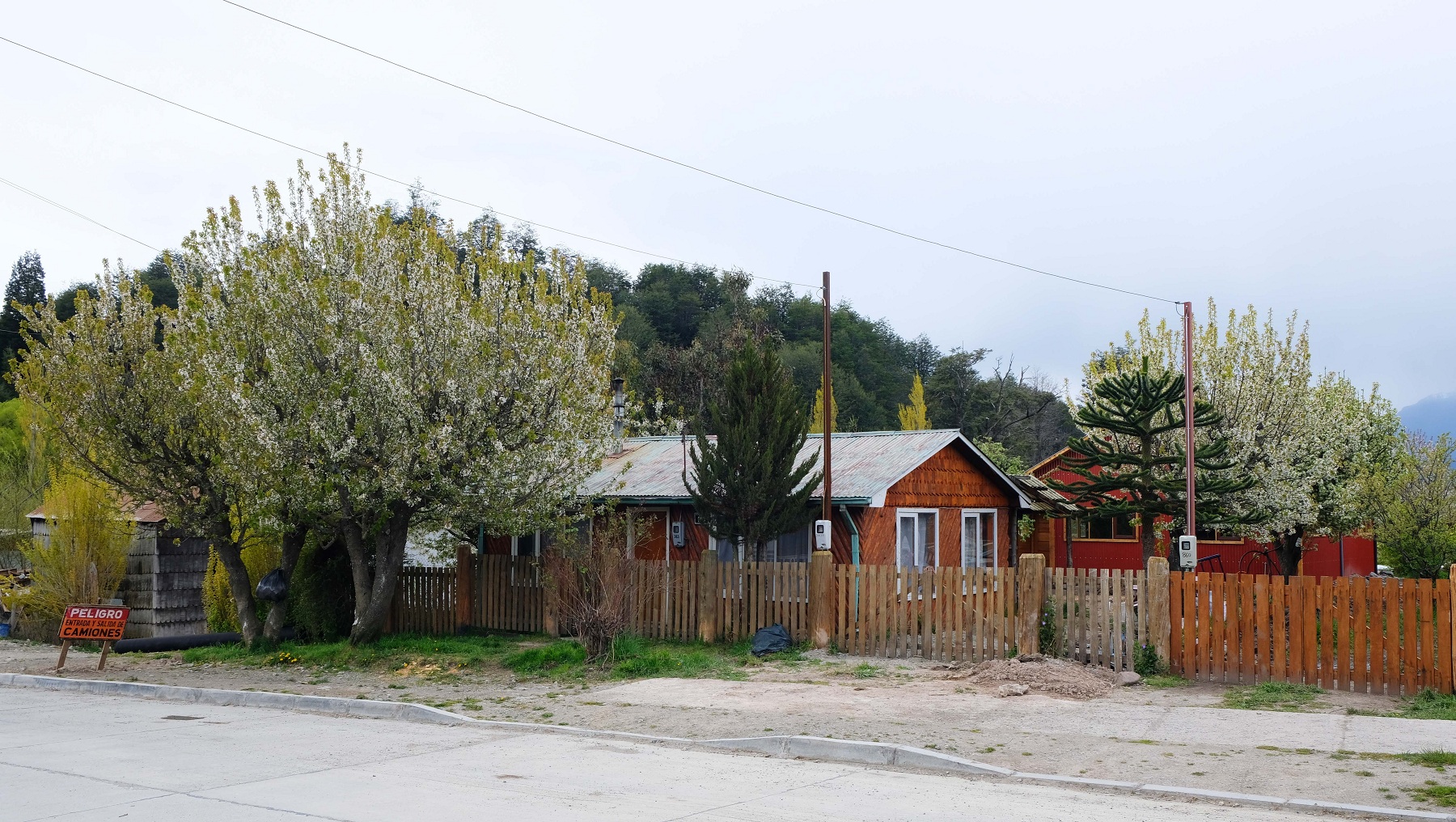 DSCF4661.JPG