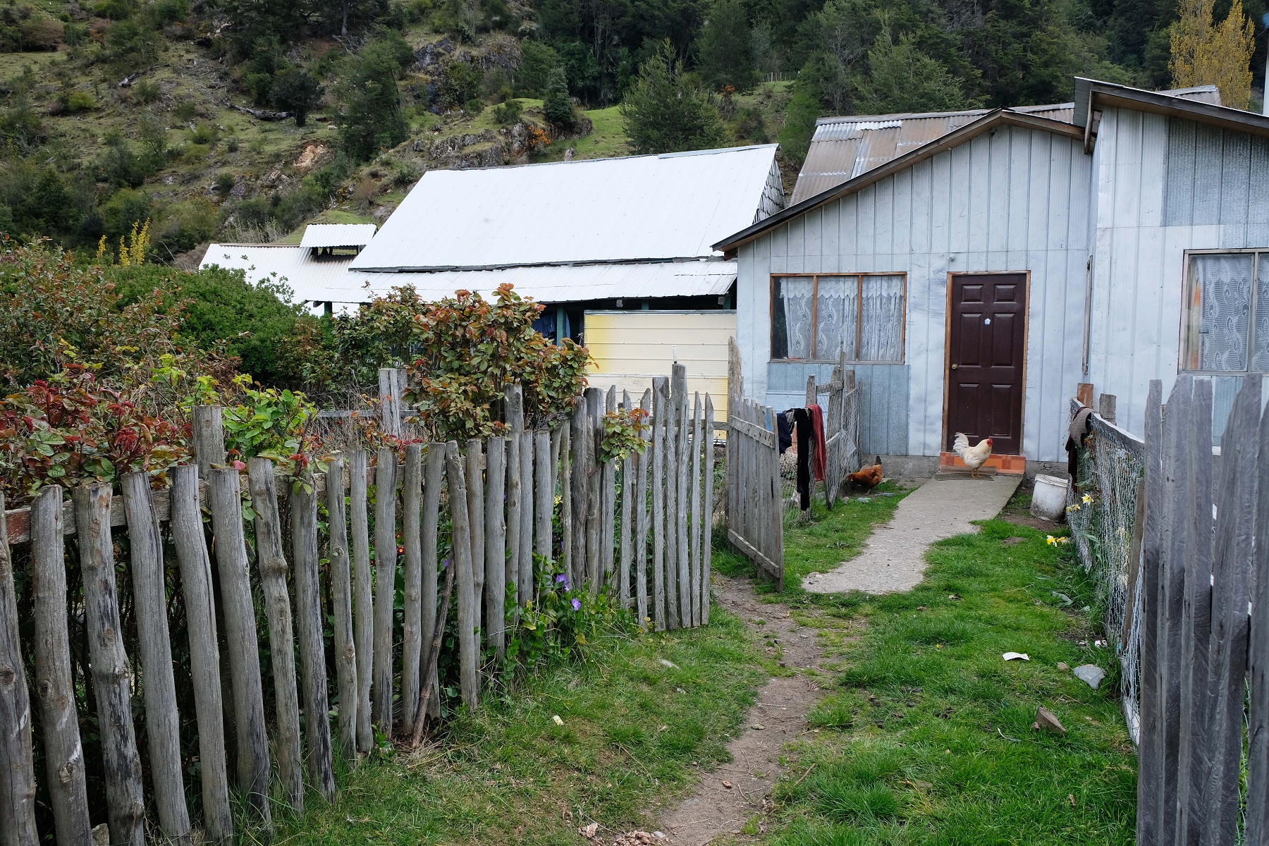 DSCF4666.JPG