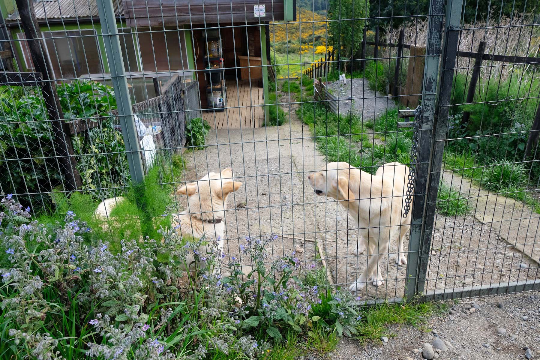 DSCF4957.JPG