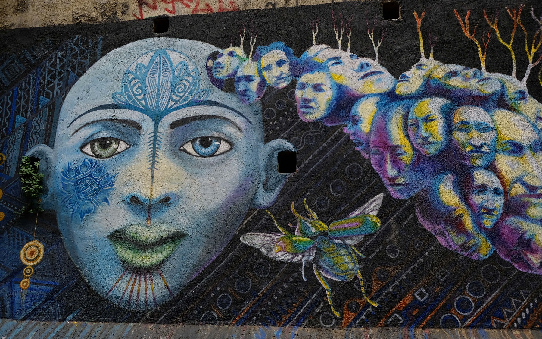 DSCF5008.JPG