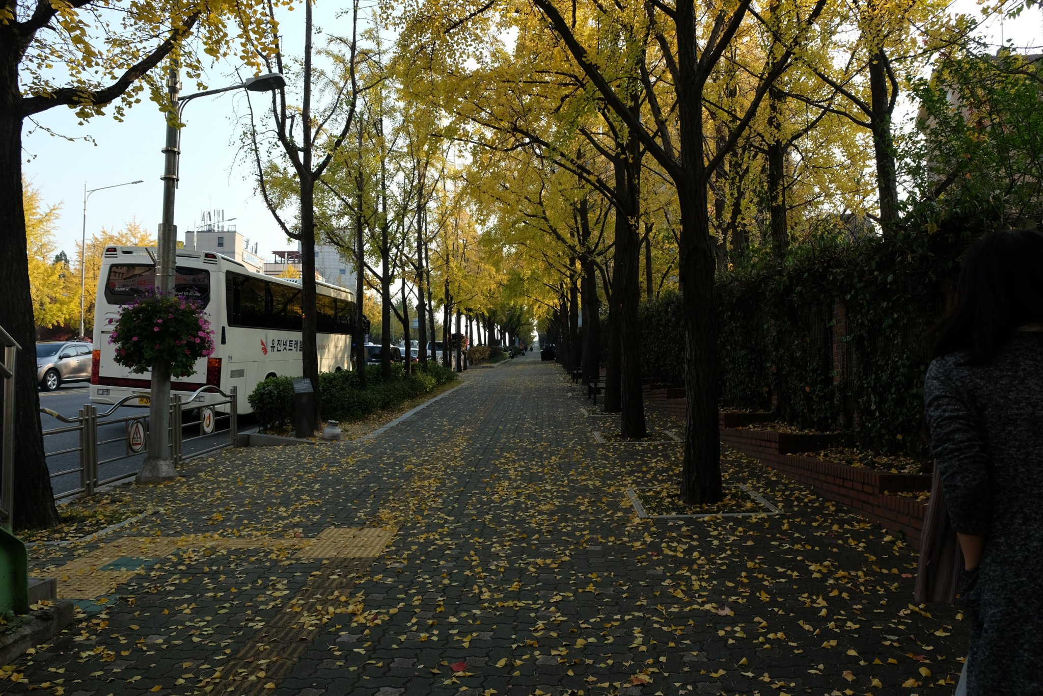 DSCF5081.JPG