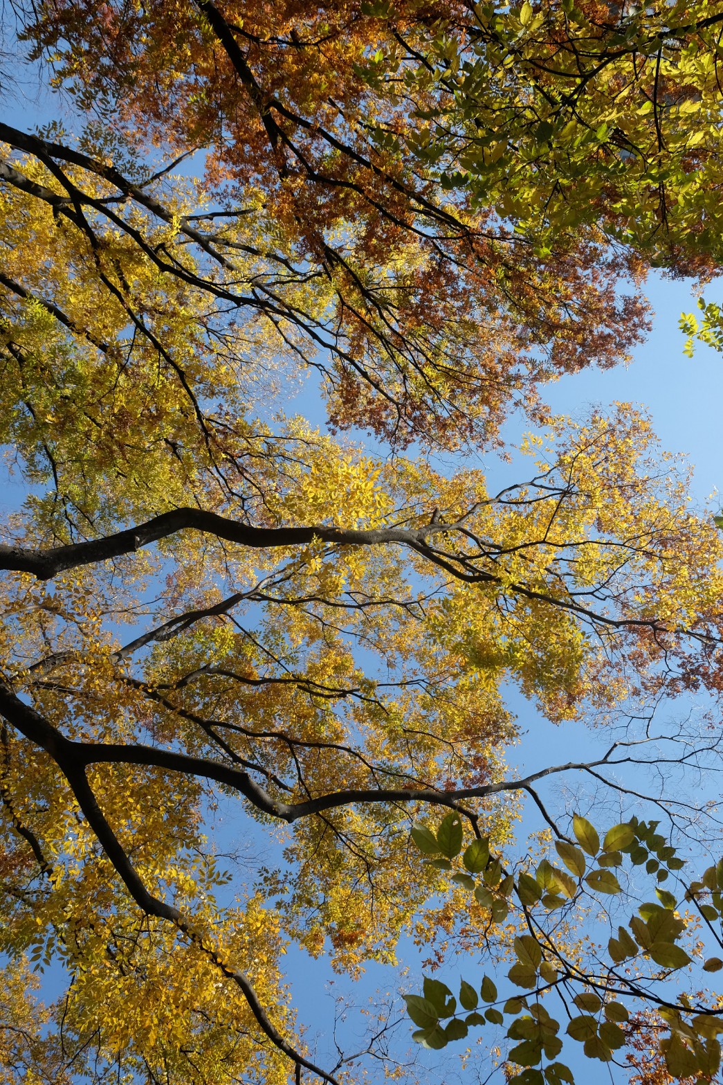 DSCF5607_18.JPG