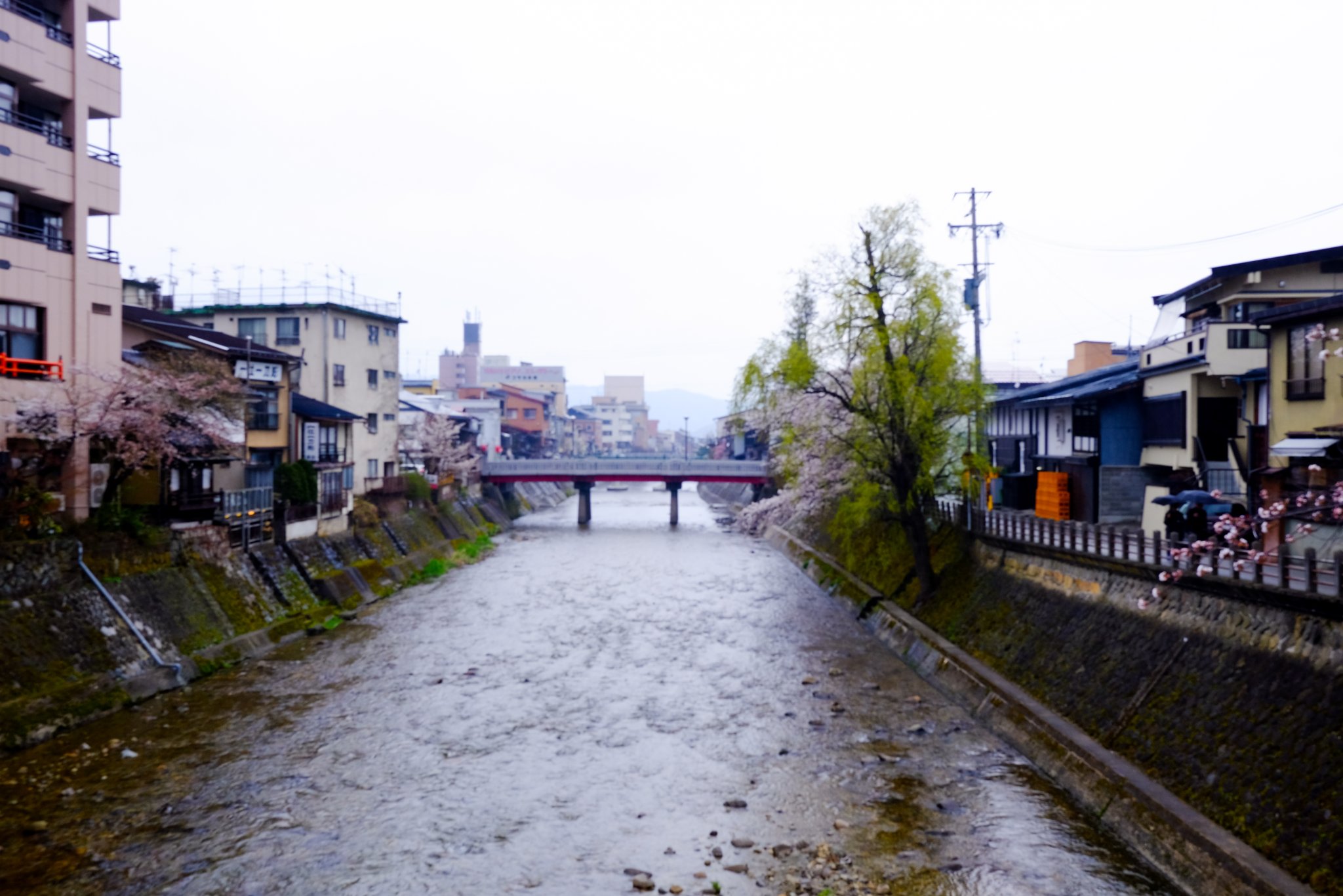 DSCF7040.jpg