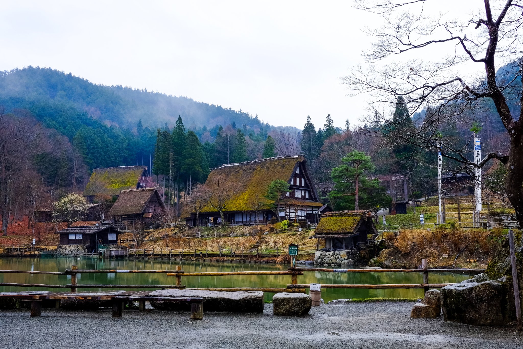 DSCF7083.jpg