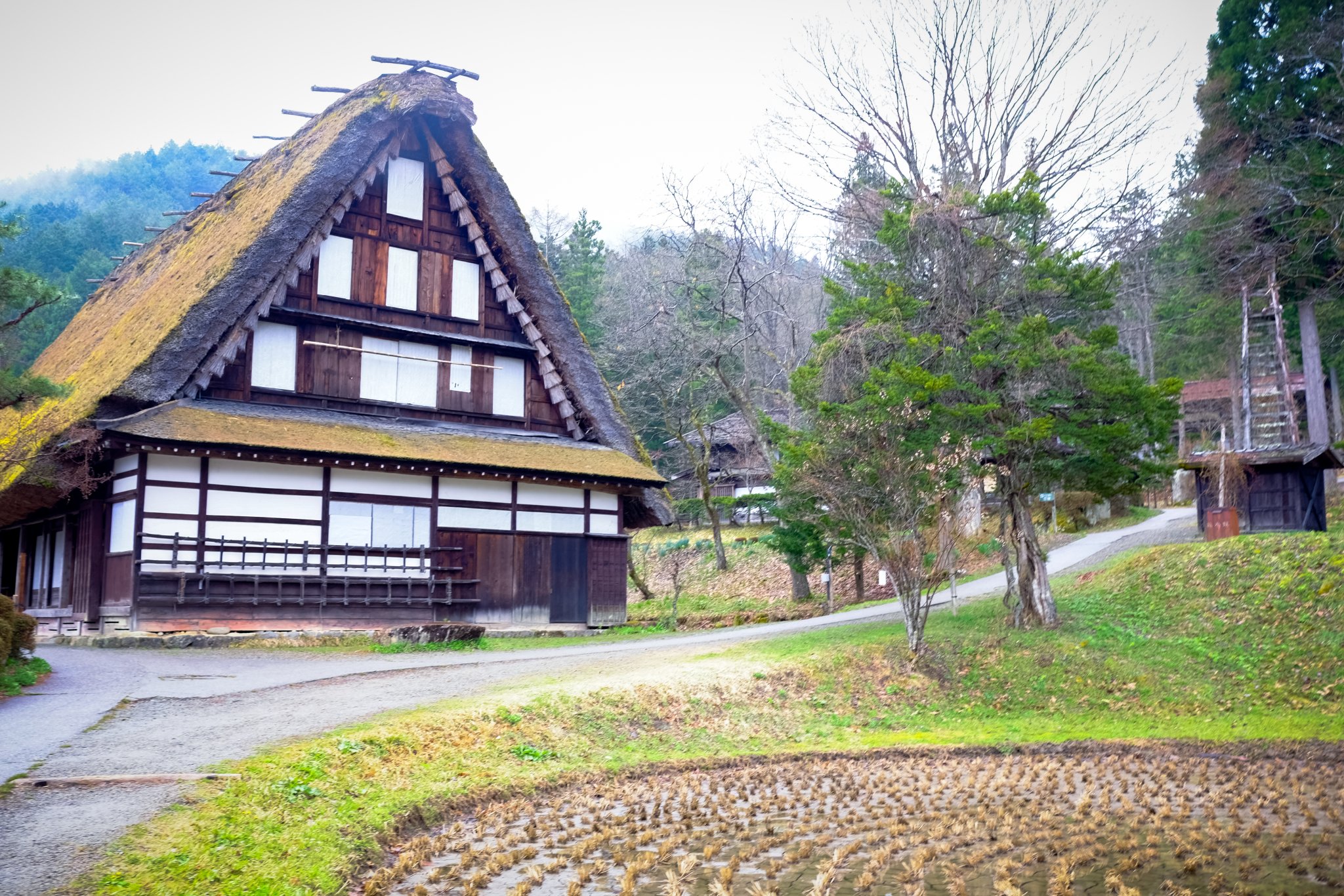 DSCF7271.jpg