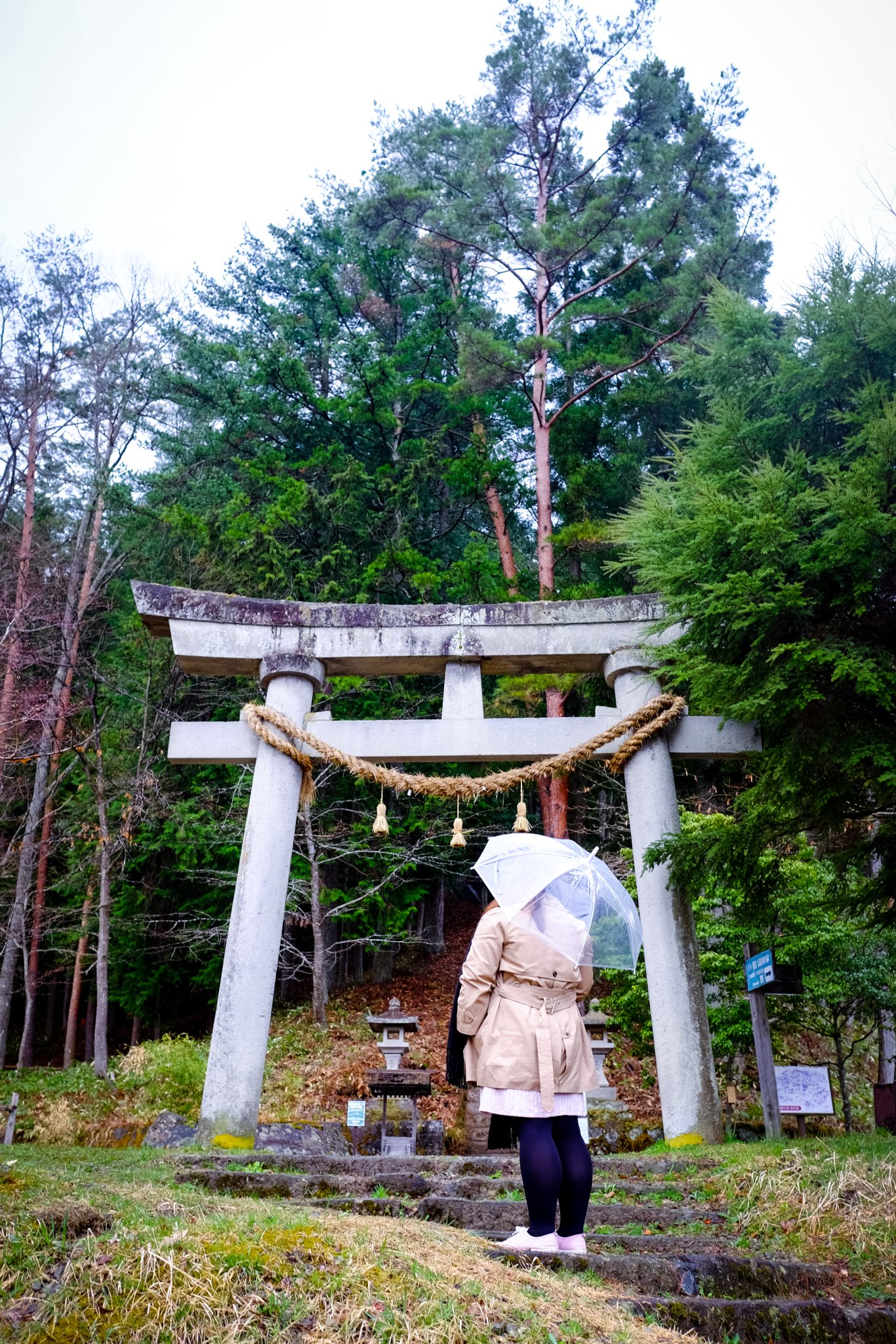 DSCF7286.jpg
