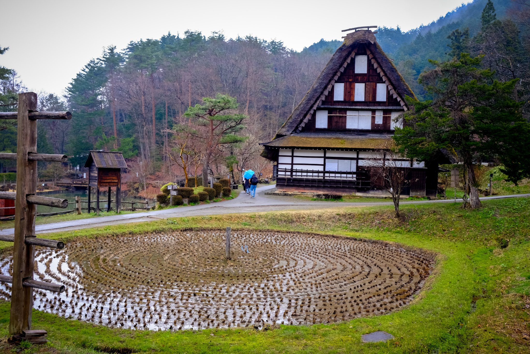 DSCF7317.jpg