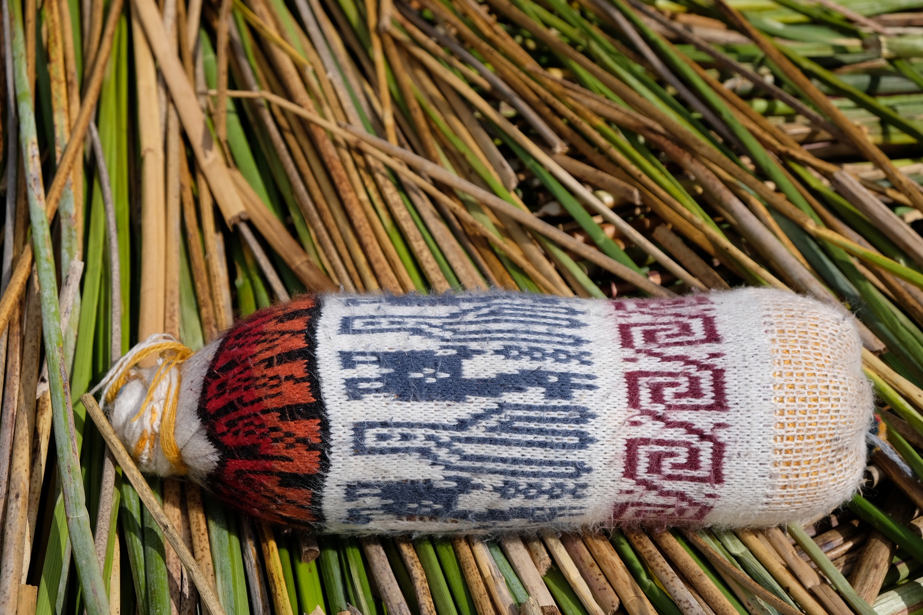 DSCF8805.jpg